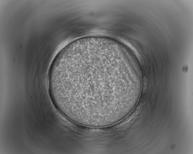 X0000098021467200804251126