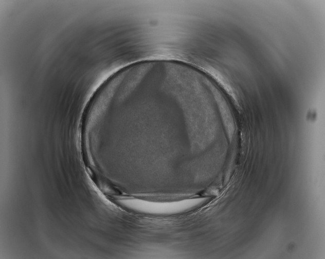 X0000098021468200804251126