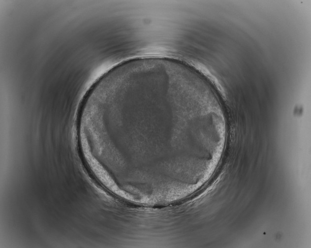 X0000098021469200804251126