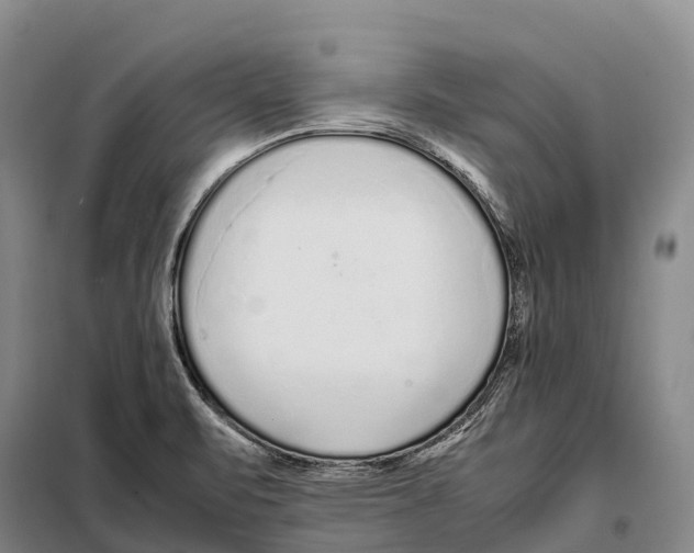 X0000098021471200804251126
