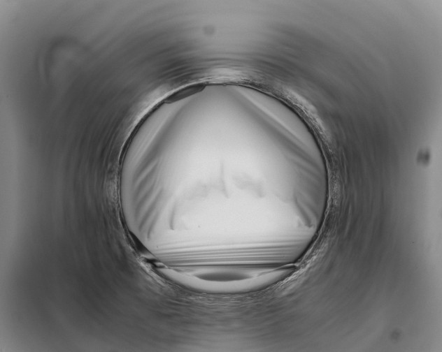 X0000098021473200804251126