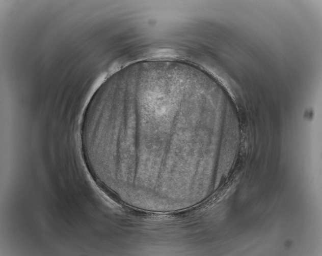 X0000098021475200804251126