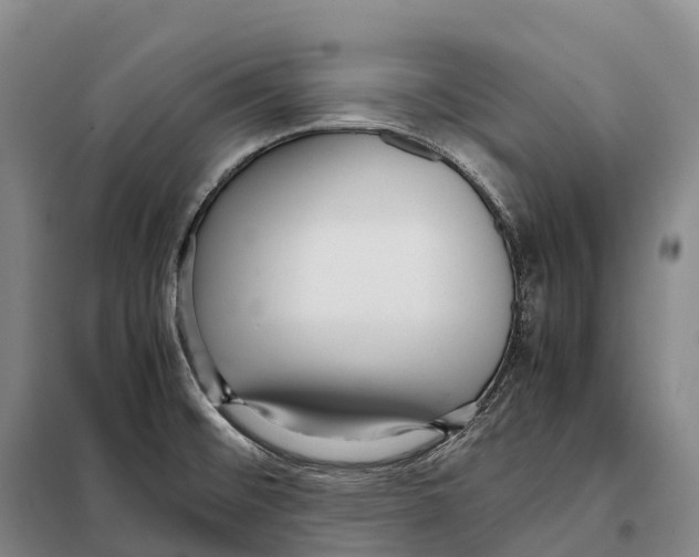 X0000098021476200804251126