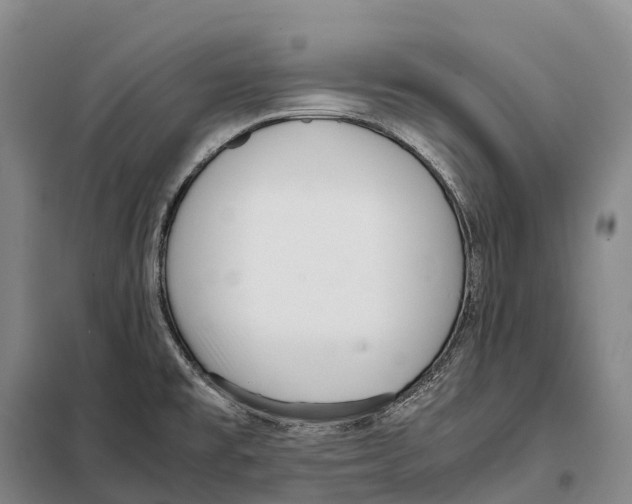 X0000098021477200804251126