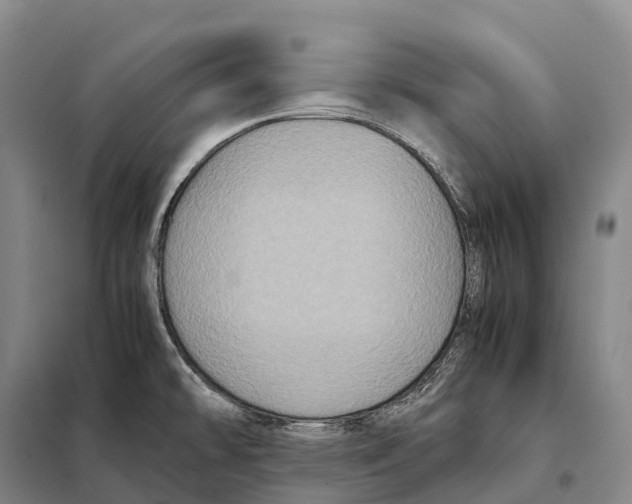 X0000098021478200804251126