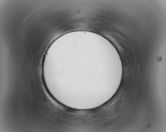 X0000098021479200804251126