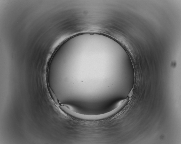 X0000098021480200804251126