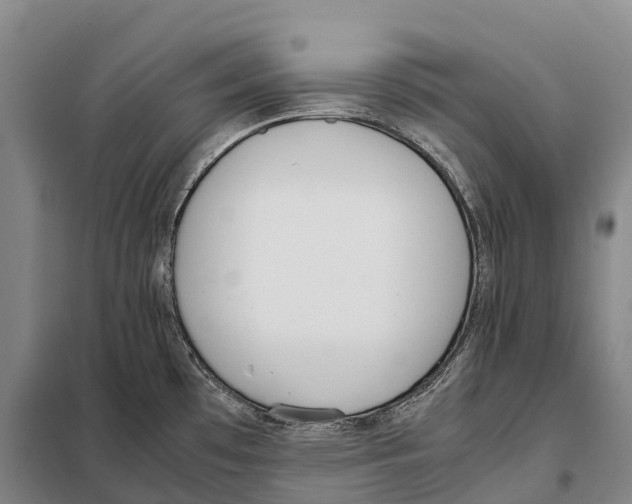 X0000098021481200804251126