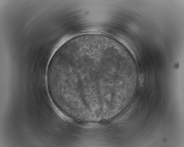 X0000098021482200804251126