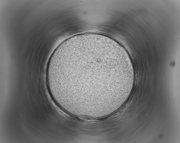 X0000098021483200804251126
