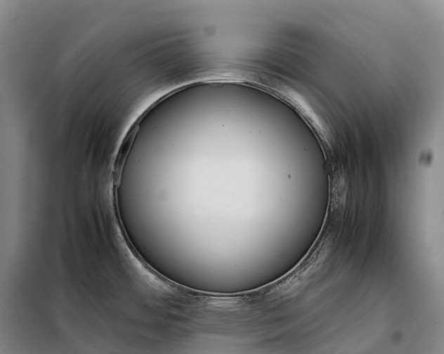 X0000098021484200804251126