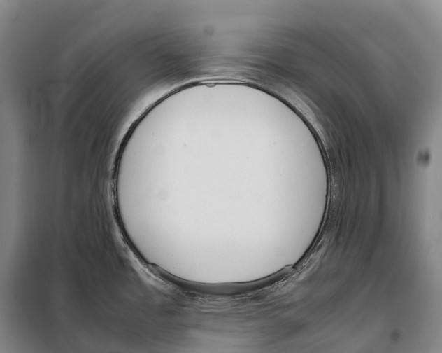 X0000098021485200804251126