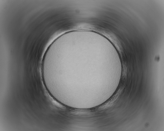 X0000098021486200804251126