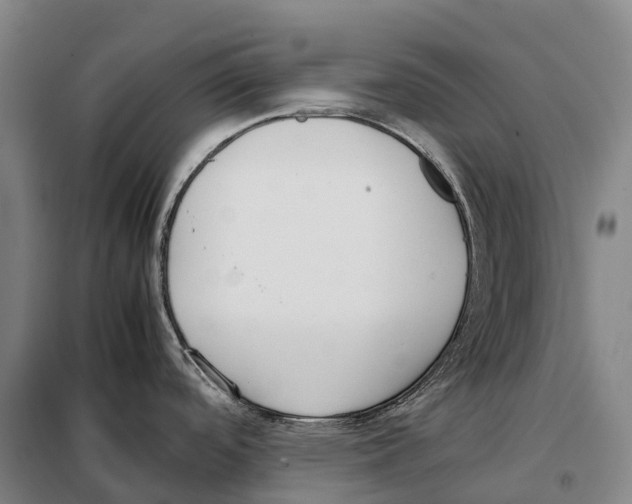 X0000098021488200804251126