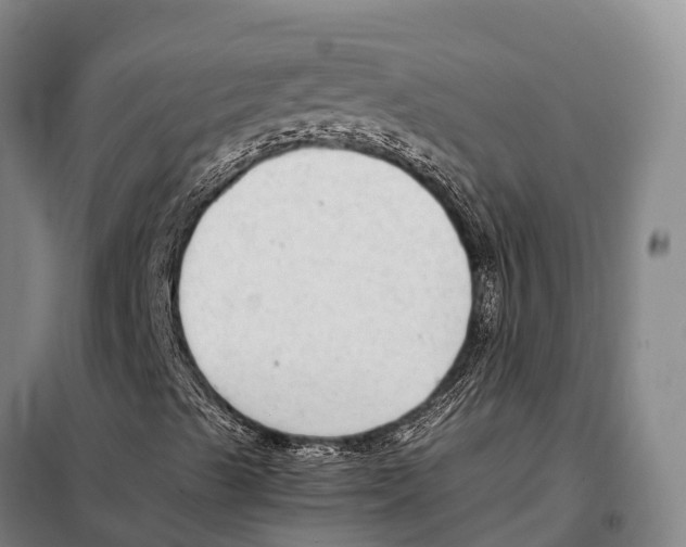 X0000098021489200804251125