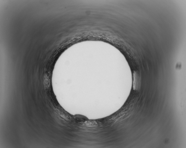 X0000098021491200804251125