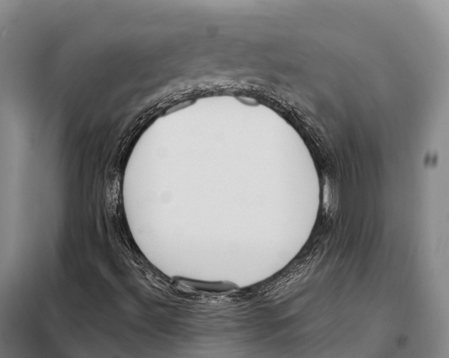 X0000098021492200804251125