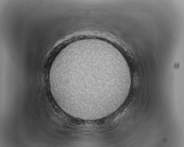 X0000098021494200804251125