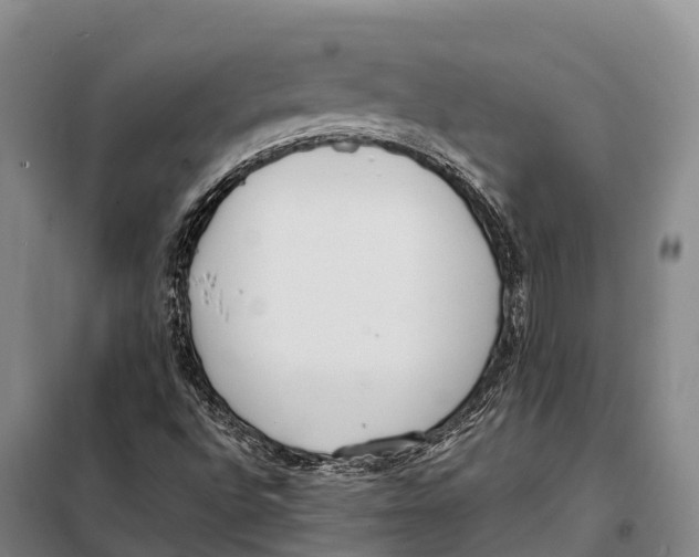 X0000098021496200804251125