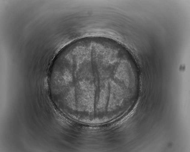 X0000098021497200804251125