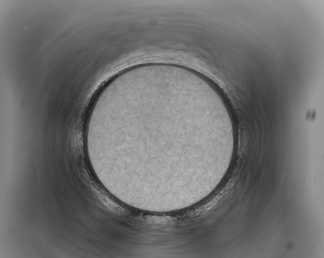 X0000098021498200804251125