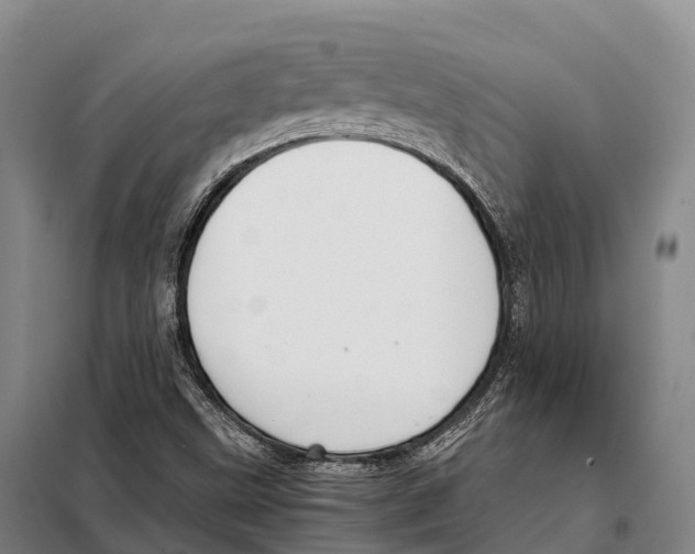 X0000098021499200804251125