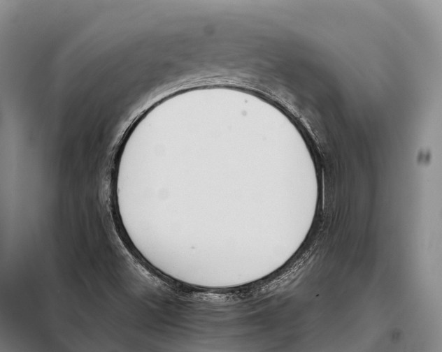 X0000098021500200804251125