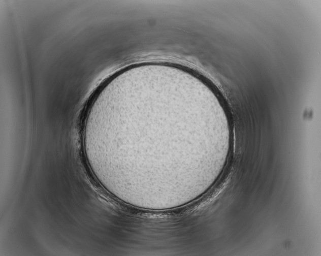 X0000098021501200804251125