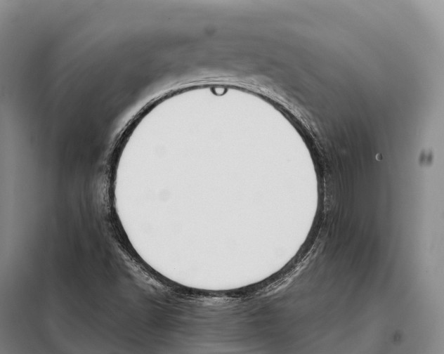 X0000098021502200804251125
