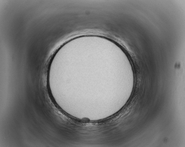 X0000098021504200804251125