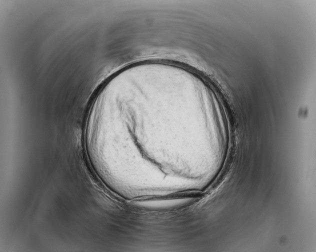 X0000098021505200804251125