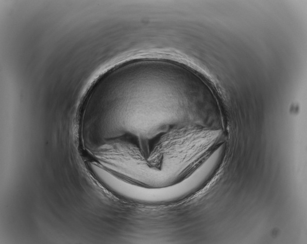 X0000098021506200804251125