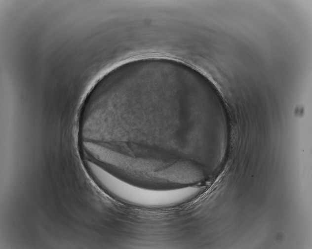 X0000098021508200804251125