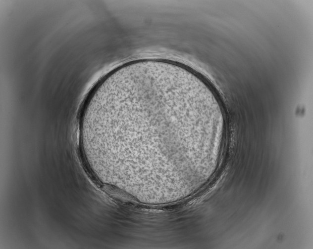 X0000098021509200804251125