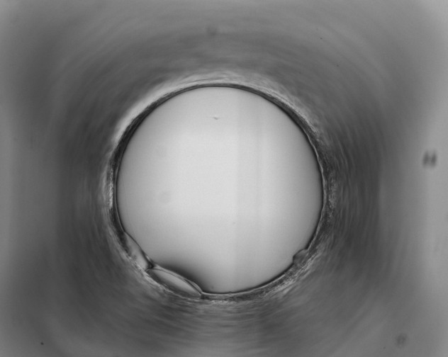 X0000098021510200804251125