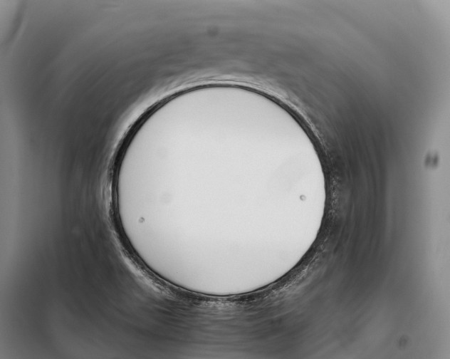 X0000098021511200804251125