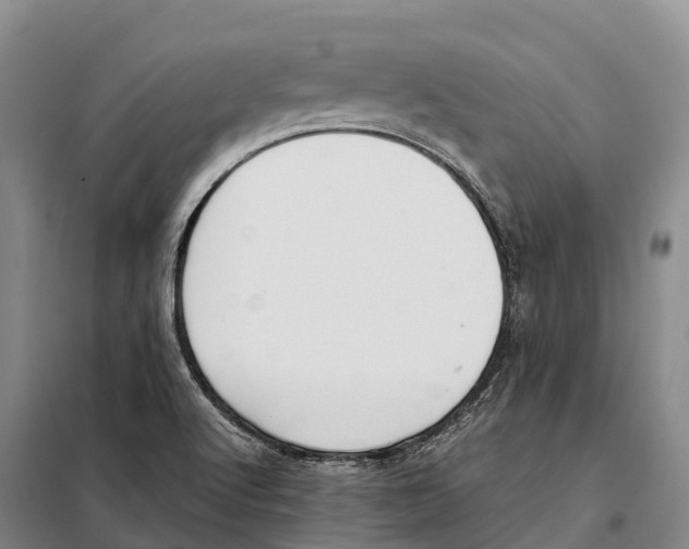 X0000098021512200804251125