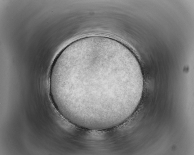X0000098021514200804251125