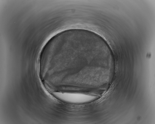 X0000098021515200804251125