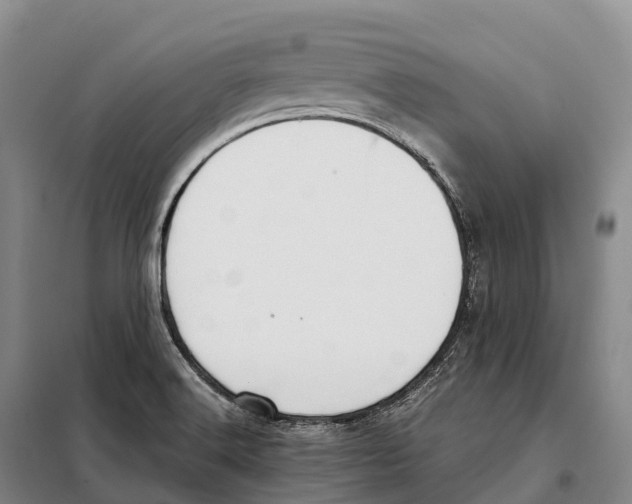X0000098021516200804251125