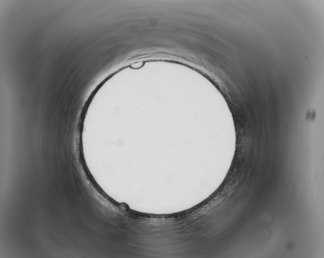 X0000098021518200804251125