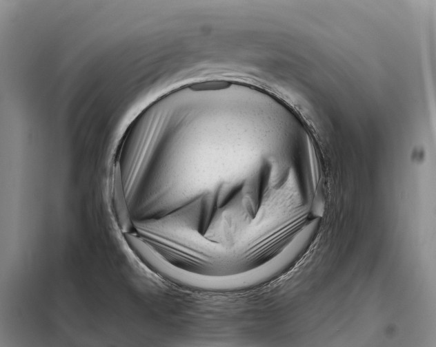 X0000098021520200804251125