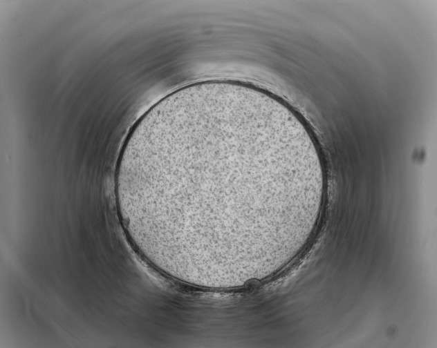 X0000098021521200804251125