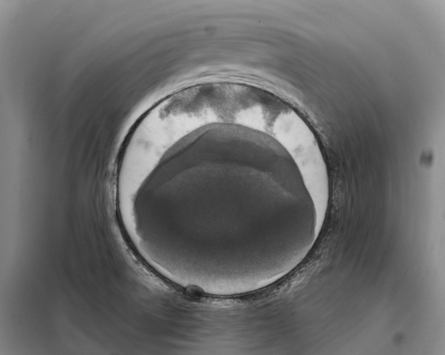 X0000098021522200804251125