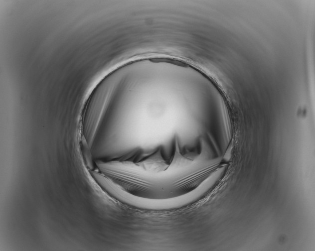 X0000098021524200804251125