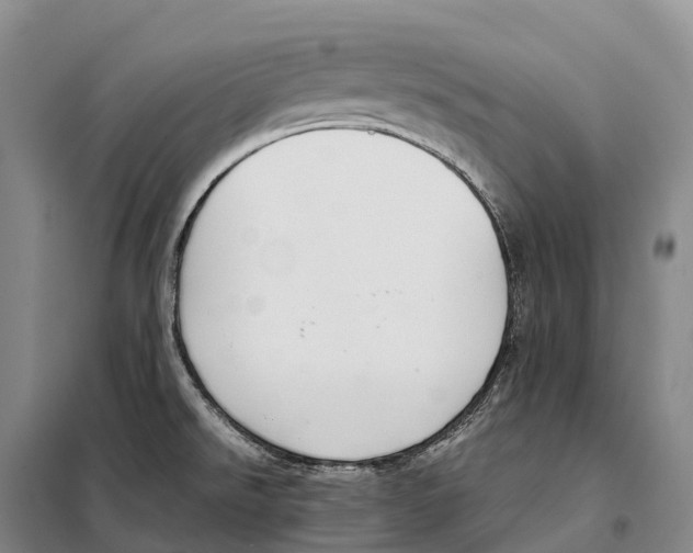 X0000098021526200804251125