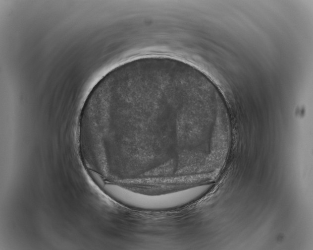 X0000098021527200804251125