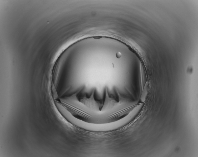 X0000098021528200804251126