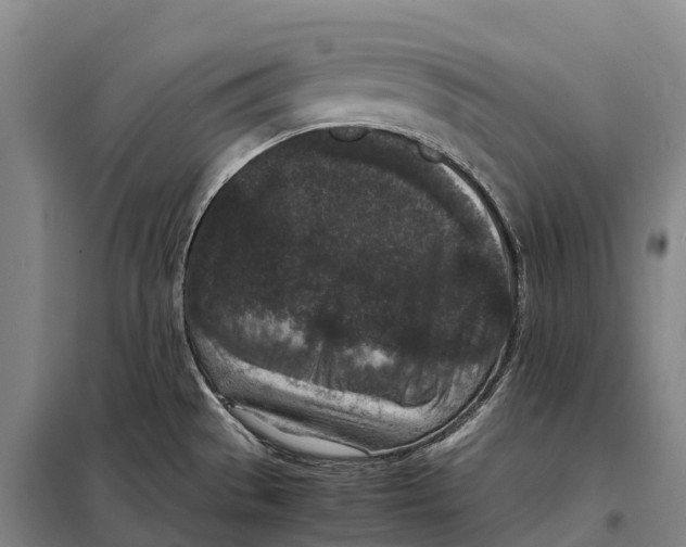 X0000098021529200804251126