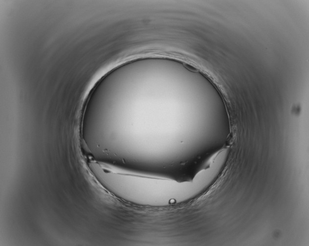 X0000098021530200804251126
